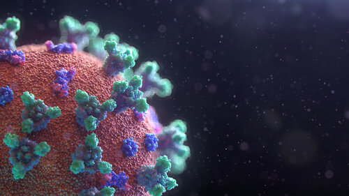 microbioenergética